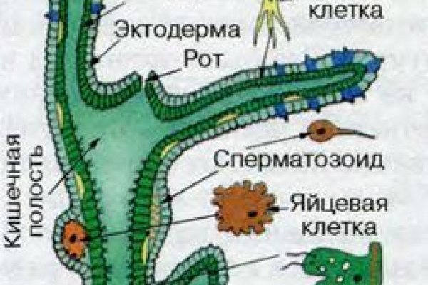 Как зарегистрироваться на кракене из россии