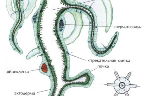 Кракен kr2web in сайт официальный