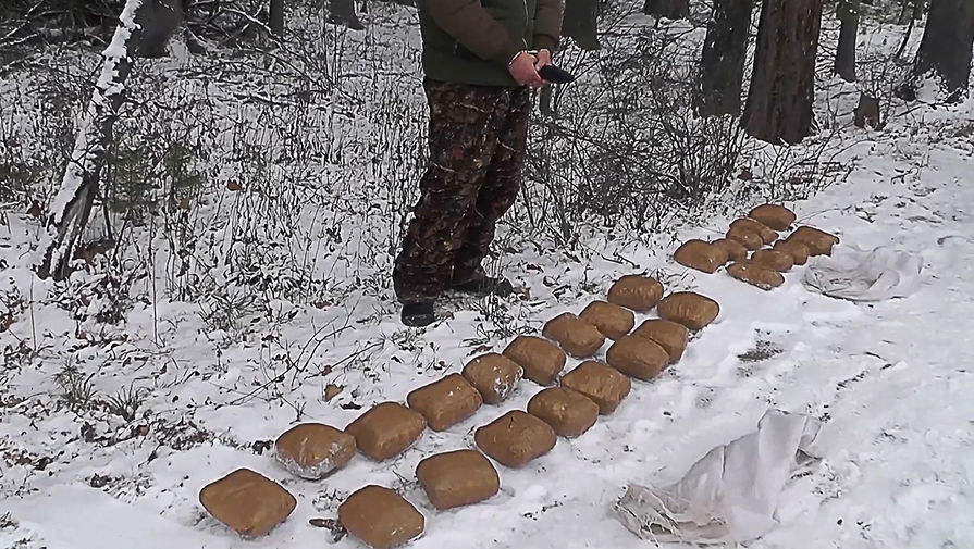 Тор для кракена